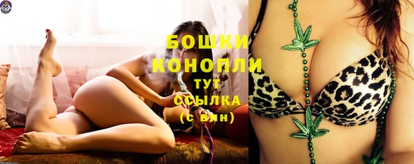 таблы Белокуриха